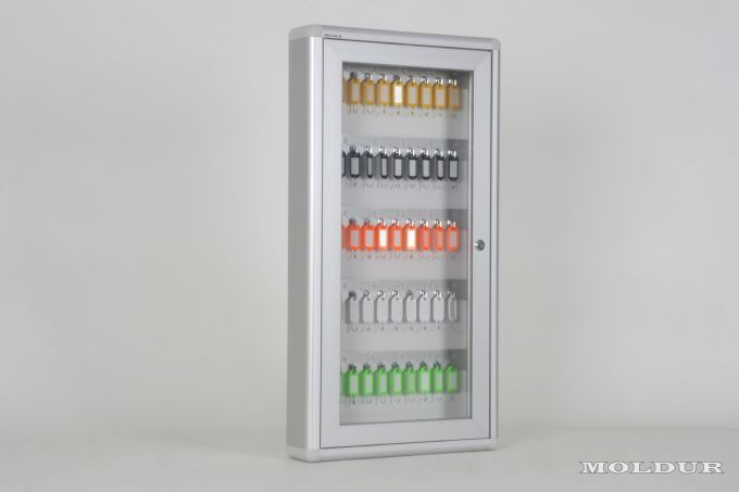 Key Cabinet with 50 Hook Capacity and Number Holder