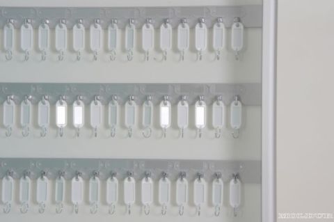 Metal Key Cabinet with 100 Hook Capacity and Name Tag Compartment