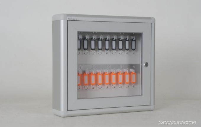 Key Cabinet with 20 Hook Capacity