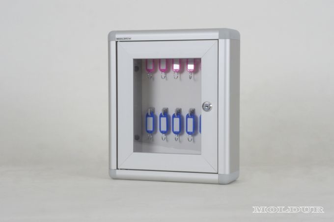Key Cabinet with Capacity for Ten Hooks