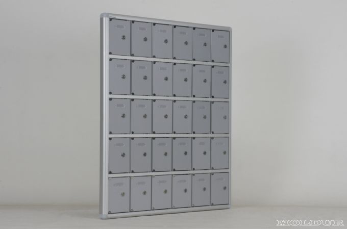 Mobile Phone Locker with 30 Compartments