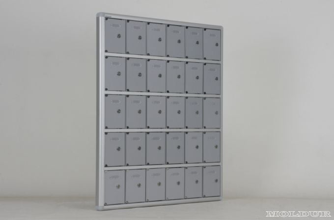 Mobile Phone Locker with 30 Compartments